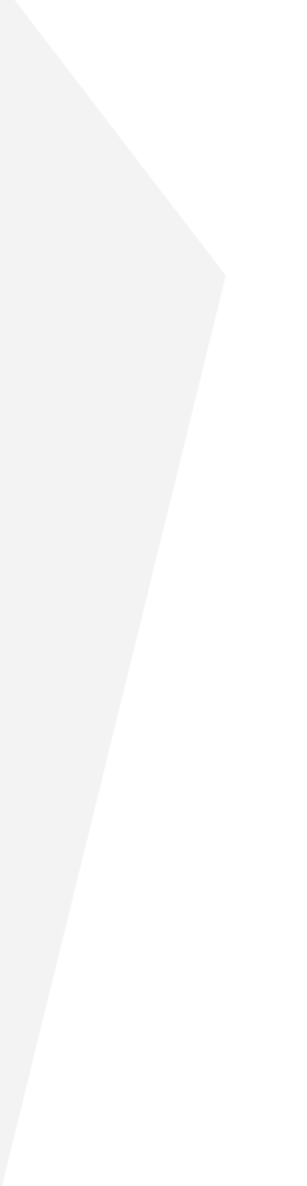 side-triangle-grey.png